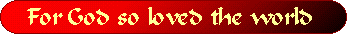 john 316